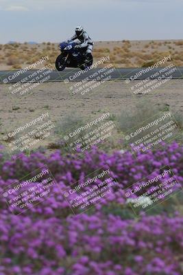 media/Jan-14-2023-SoCal Trackdays (Sat) [[497694156f]]/Turn 14 Exit Bloomig (145pm)/